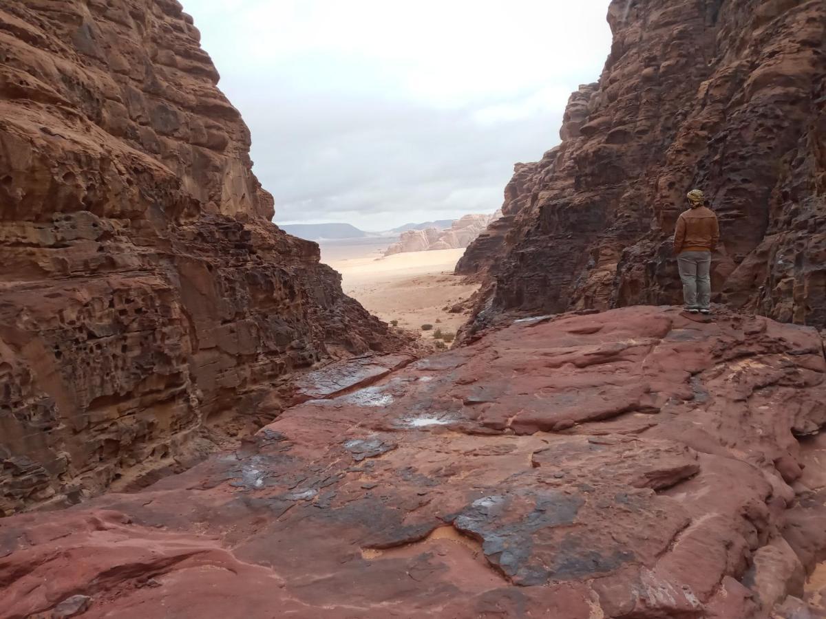 Rum Moon Luxury Camp Wadi Rum Eksteriør billede